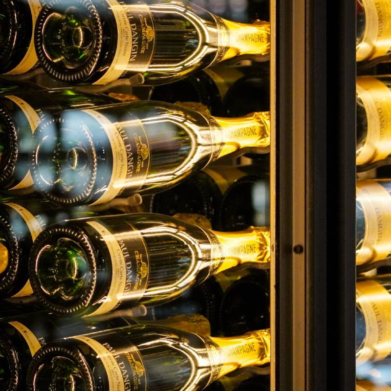 Dunavox Sera-143 Champagne Koelkast | DX-143.468SS | 1 Zone